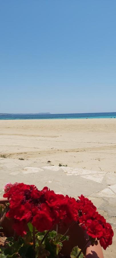 Panthoma Casa Apartment Ayia Napa Luaran gambar